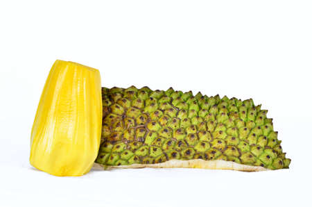 jackfruit isolated on white backgroundの写真素材