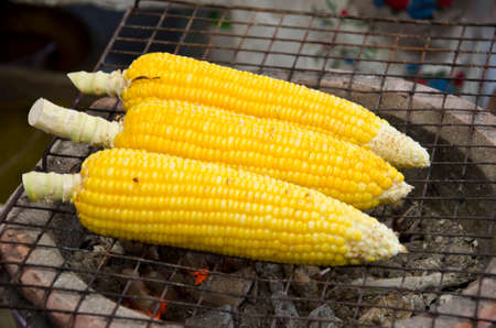 Grilled corn vegetables grilled corn on the hot stove.