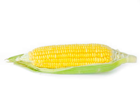 Grains of ripe corn on white background