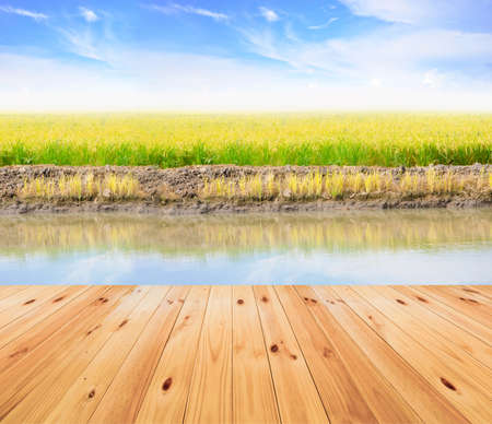 Agriculture paddy field wood bridge with cloud and blue skyの写真素材