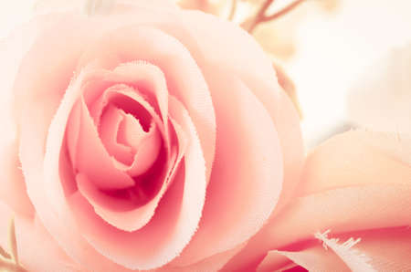 Close up vintage of center pink rose as background.の写真素材