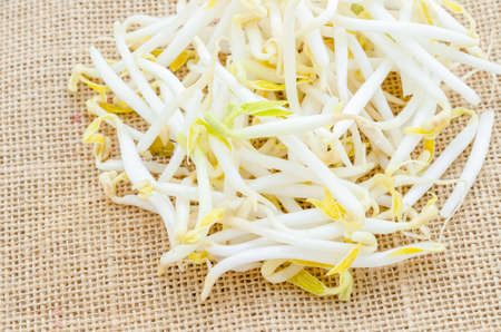 Mung beans or bean sprouts on sack background.の写真素材