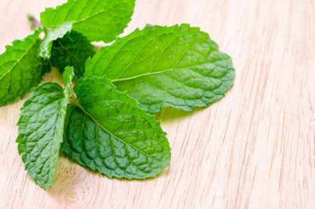 Fresh mint on rustic wooden background