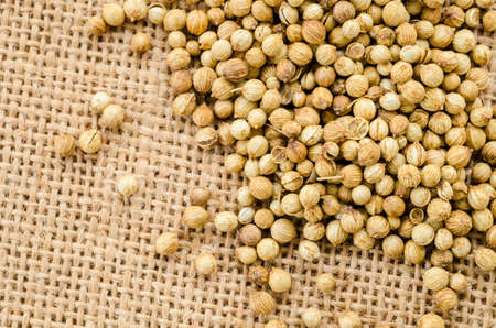 Close up of dried coriander seeds on sack background.