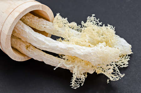 Dried Bamboo mushroom on black background.の写真素材