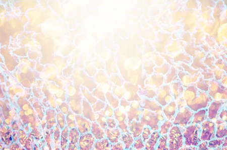 abstract net structure made by nature as background.