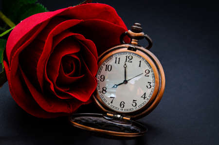 Red rose and vintage pocket wath on black background.の写真素材