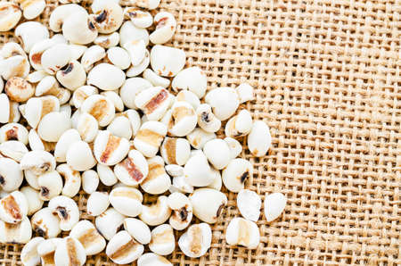 millet on the pile on sack backgroundの写真素材