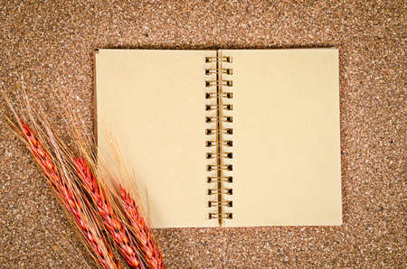 Open blank vintage diary ready for your text with wheat on wooden background.の写真素材