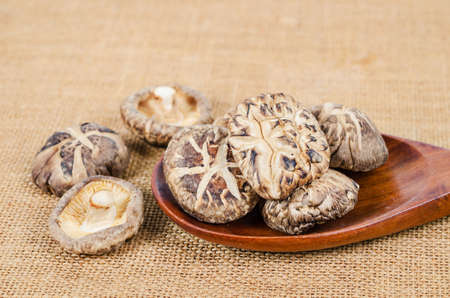Dried shiitake mushroom on sack background.の写真素材