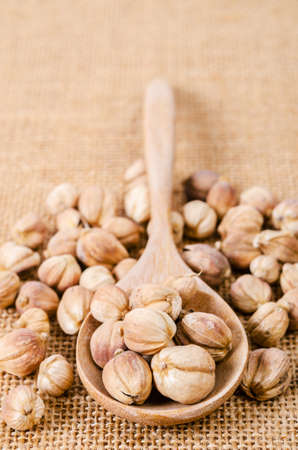 Best Cardamom, Camphor, Clustered Cardamom, Siam Cardamom(Amomum verum Blackw)