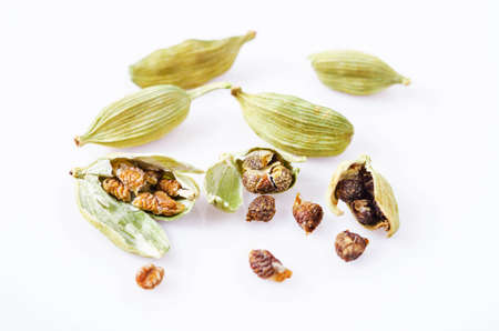 Green cardamon on white background.の写真素材