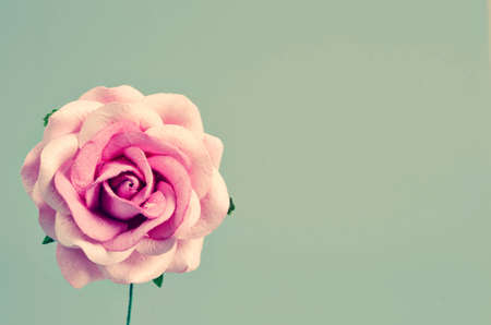 Vintage pink rose with empty space on gray background.の写真素材