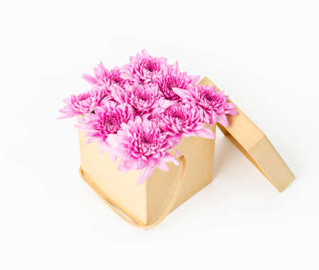 Pink chrysanthemum flower in brown gift box on white background.の写真素材