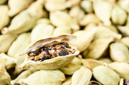 Green cardamon seeds.の写真素材