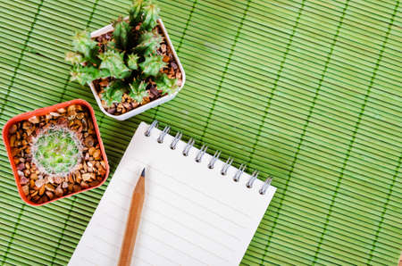 Blank notebook and wooden pencil with cactus on the green bamboo mat background.の写真素材