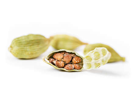 cardamon with cardamon seeds (cardamom, cardamon)の写真素材