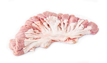internal organs of pig isolated on white background.の写真素材