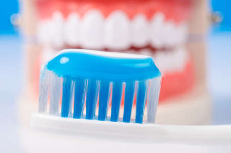 Toothpaste in toothbrush on denture background.の写真素材