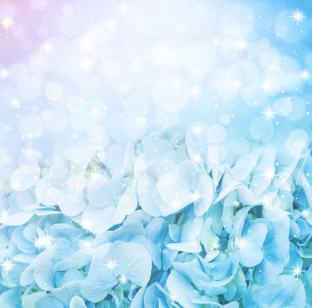 colorful fresh flower background, hydrangea flower.
