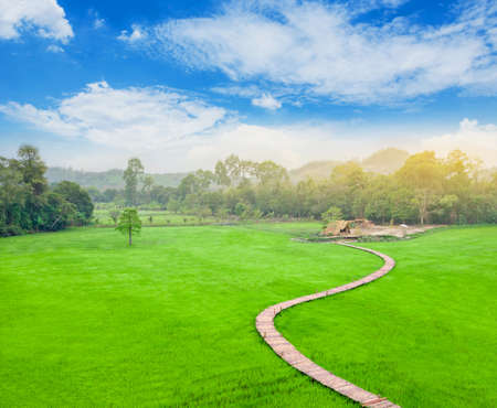 Bamboo bridge on rice field with cottage and mountain on blue sky in Thailand.の写真素材