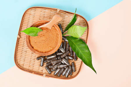 Herb medicine powder in mortar and capsules with green plant on beautiful background.