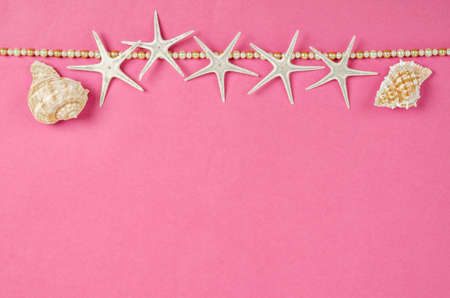 Seashells and starfish with free space for your text or message on pink background.