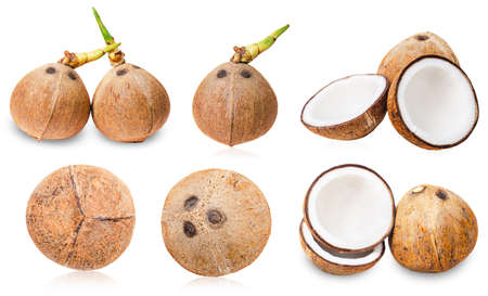 Collection of coconuts with root, Tropical fruit isolated on the white