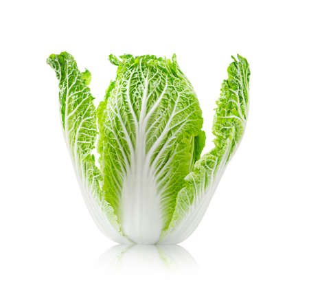Fresh chinese cabbage on a white background, Save clipping path.の写真素材