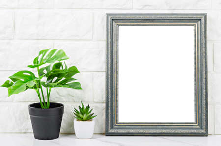 Blank gray vintage photo frame with cactus on marble background, Save clipping path.
