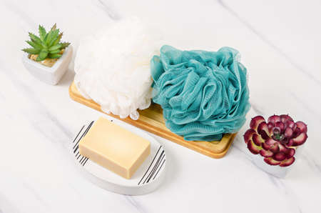 Shower sponge and herb soap inside a bright bathroom background.