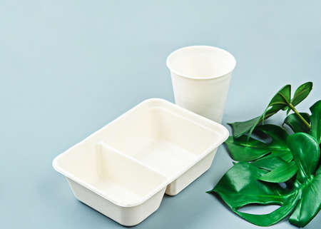 Unbleached plant fiber food box and paper cup with green leaves. Natural fiber eco food and drink...