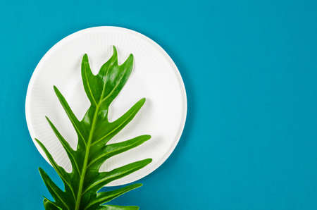 Biodegradable dish dispoable and green leave on blue background. eco friendly concept.