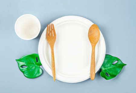 Unbleached plant fiber food box with wooden utensil and green leaves. No plastic eco friendly concept.の写真素材