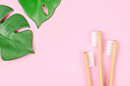 Bamboo toothbrushes and green leaves on pink background with free space for your text or message.の写真素材
