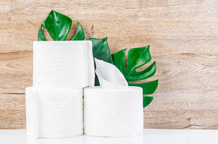 White kitchen paper towel, toilet paper, paper tissues, cotton pads and green leaves on a wooden tableの写真素材