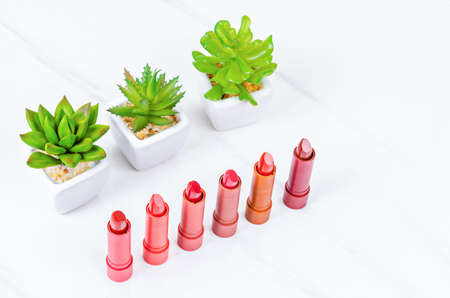 Beautiful Red Orange Lipstick tone collection with green cactus on whiteの写真素材