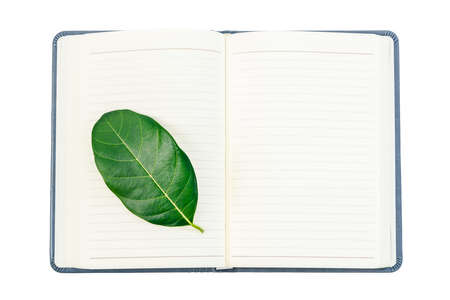 Fresh green leaf on open blank notebook isolated on white background