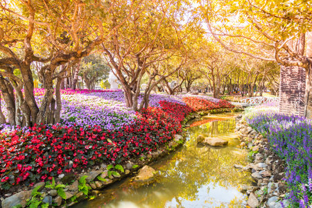 Beautiful many flowers in garden and small canel in public park.の写真素材