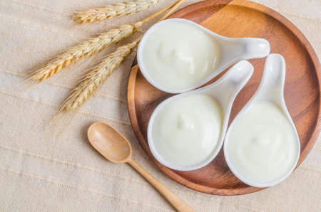 Greek yogurt in a white bowl and dry barley on tablecloth.の写真素材
