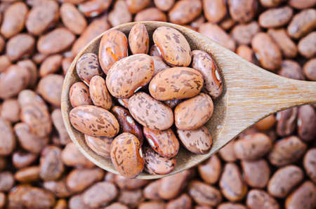 Raw Organic cranberry beans in wooden spoon on cranberry beans background.