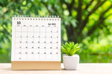 October 2021 Calendar desk for organizer to plan and reminder on wooden table on nature background.の写真素材