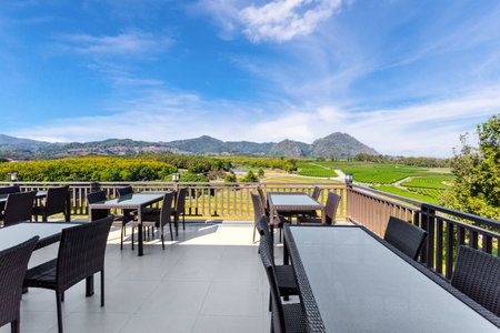 Tea Plantation fields view point from restaurant in the summer with blue sky and moutains.の写真素材