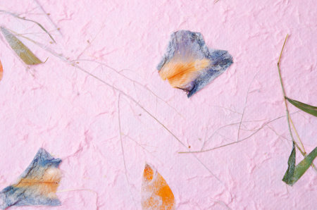 mulberry paper with red and yellow flower petal and seed texture background and wallpaper