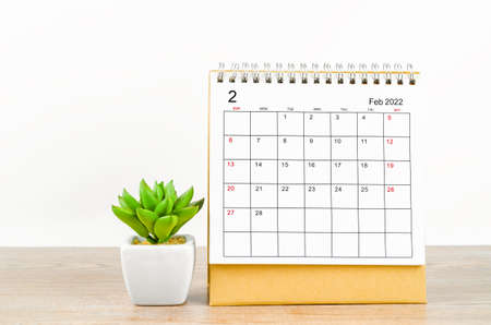 The february 2022 desk calendar with plant pot on wooden table.の写真素材