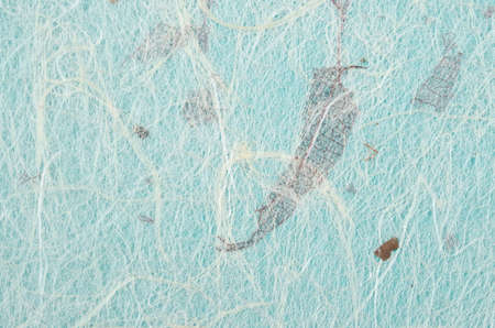 Striped leaves on Mulberry paper texture as backgroundの写真素材