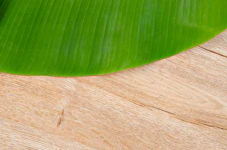 Blank wooden background with banana green leaves for your text or message.