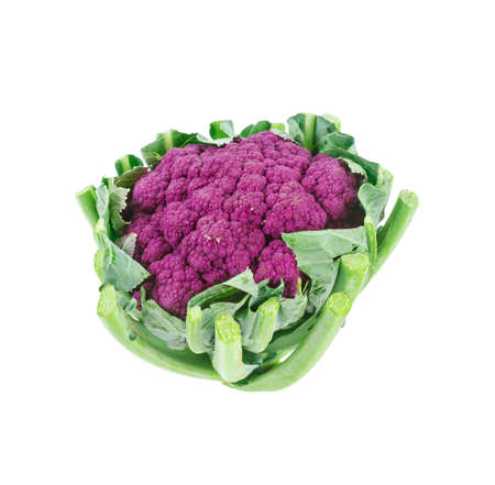 Purple Cauliflower isolated on white backgroundの写真素材