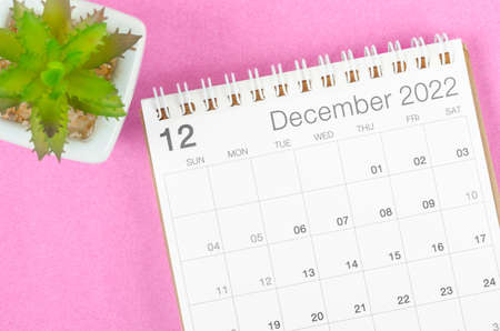 The December 2022 desk calendar with plant pot on pink background.の写真素材