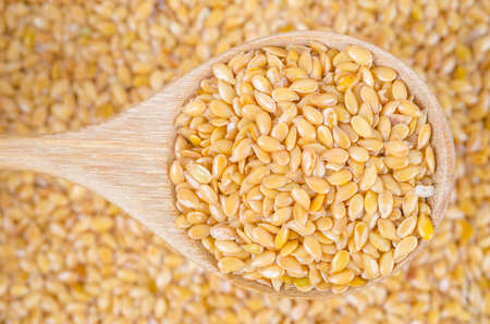 The Gold flax seeds in a wooden spoon on a flax seeds background.の写真素材
